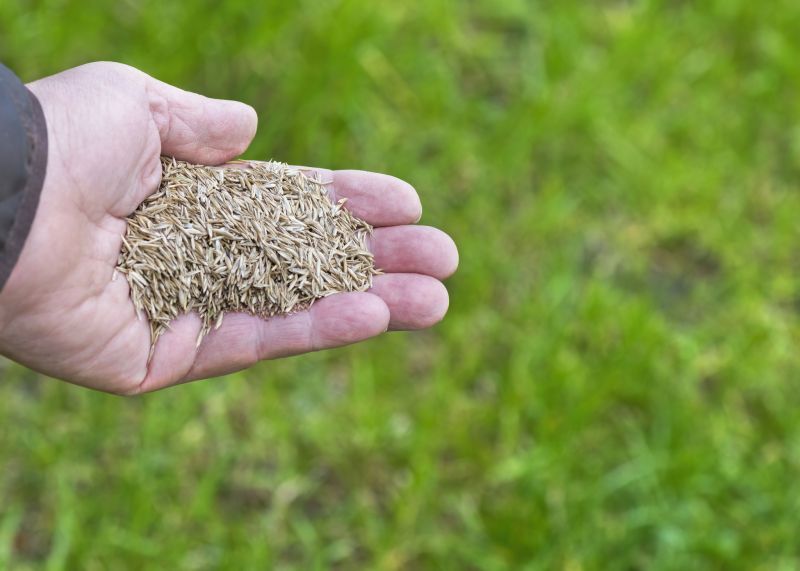 Bermuda Grass Seeding in Honolulu, HI