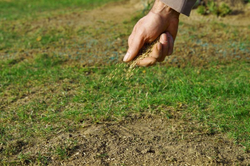 Lawn Seeding in Honolulu, HI