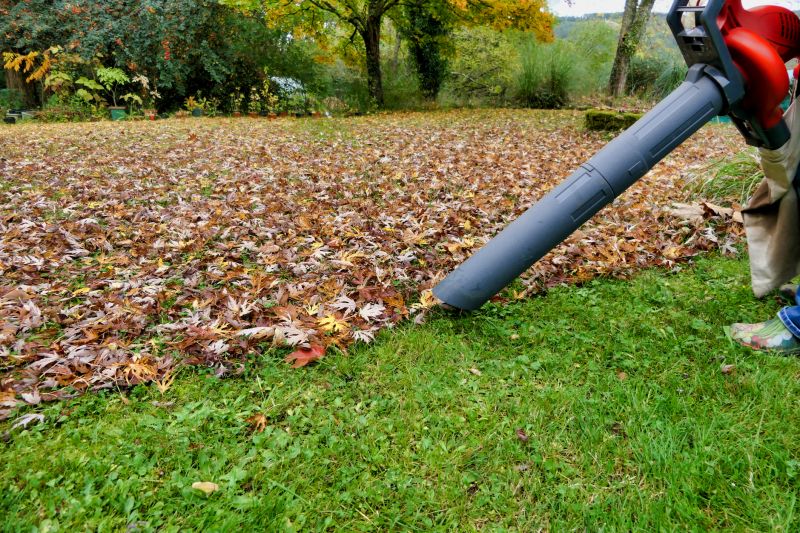 Leaves Vacuuming in Ventura County, CA