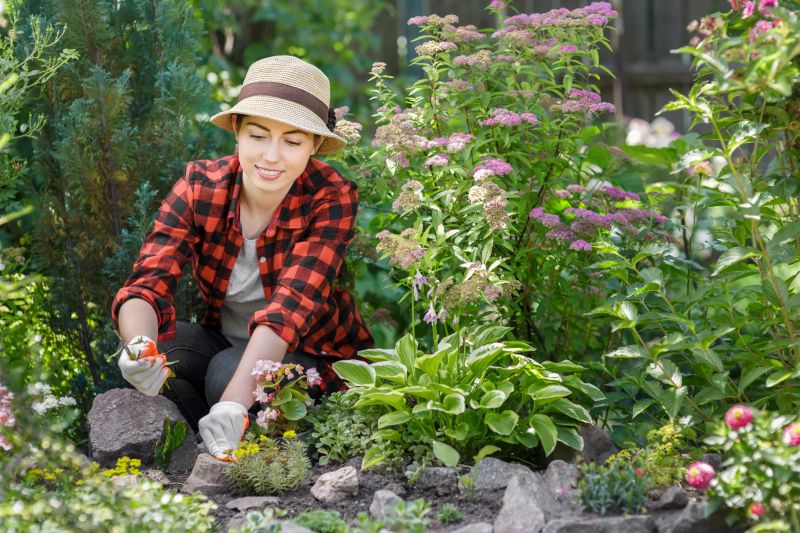 Rock Bed Weeding in Ventura County, CA