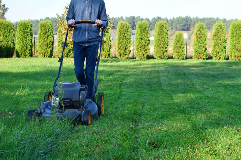 Routine Lawn Care in Bowie, MD