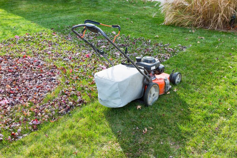 Seasonal Lawn Care in Bowie, MD