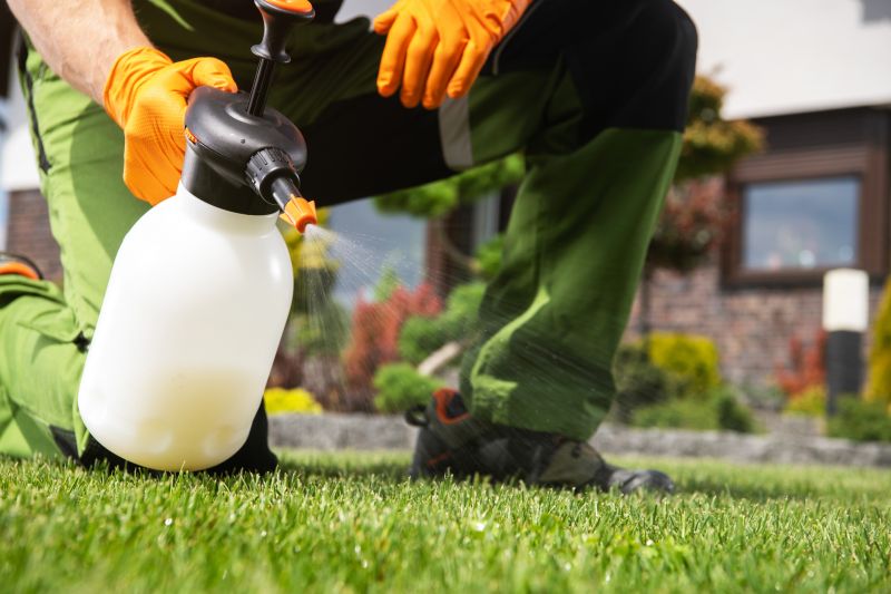 Slope Weed Control in Honolulu, HI