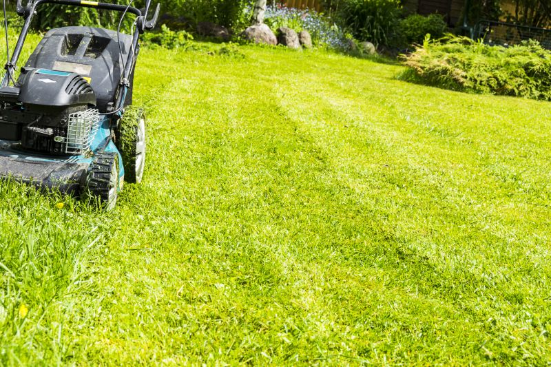 Vacant Lot Mowing in Calvert County, MD