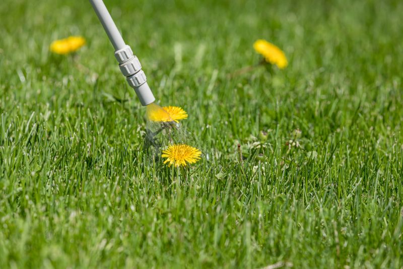 spade weed control