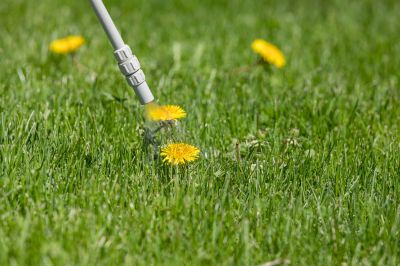 spade weed control