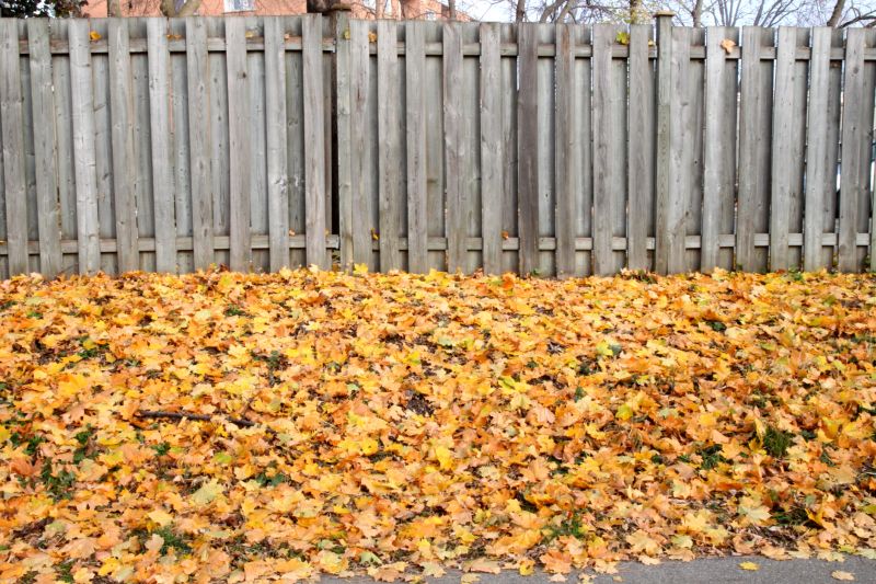 Autumn Leaf Removal in Ventura County, CA