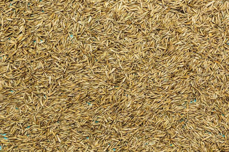 Bermuda Grass Seeding in Ventura County, CA