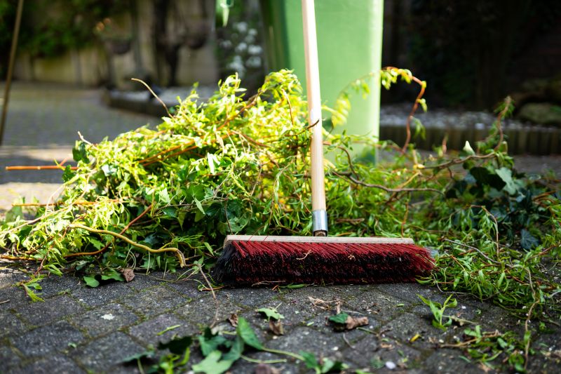 Brush Cleaning Service in Honolulu, HI