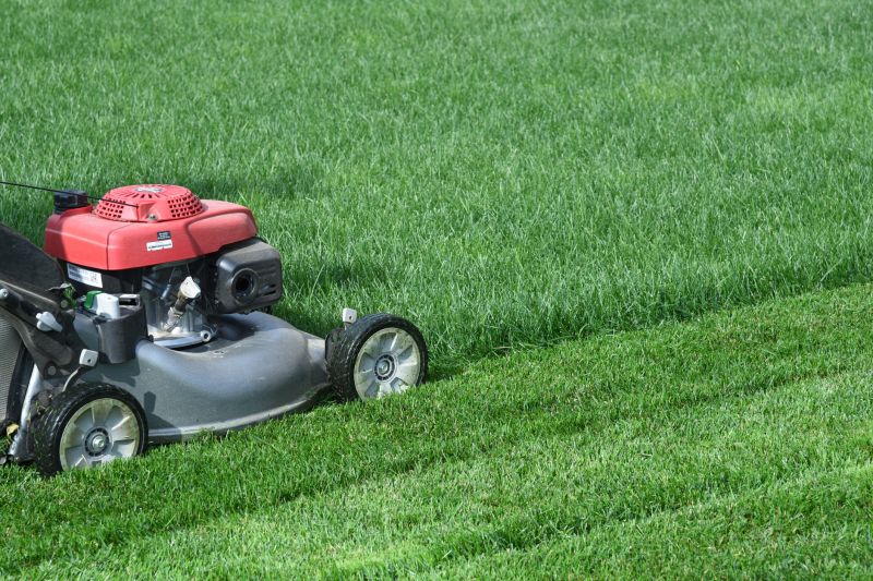 Brush Mowing Service in Duluth, MN