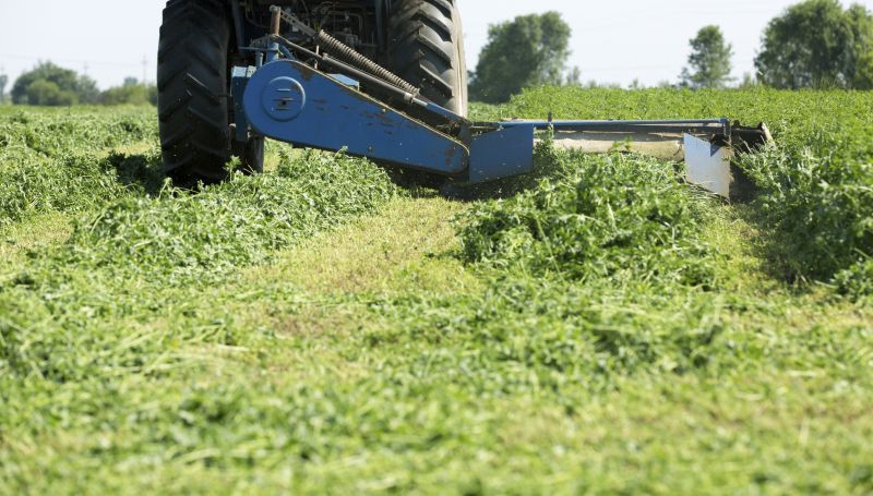 Brush Mowing Service in Calvert County, MD