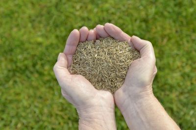 Commercial Grass Seeding in Ventura County, CA