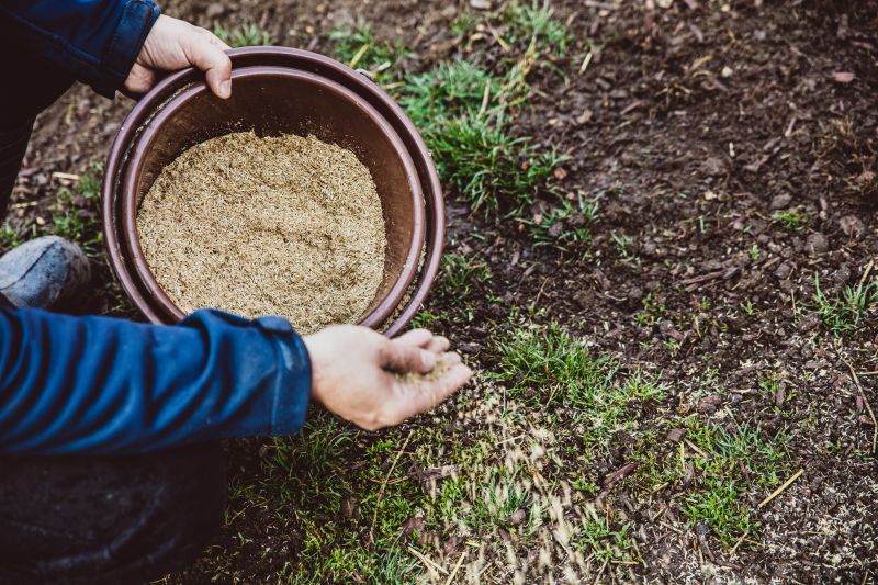 Commercial Grass Seeding in Honolulu, HI