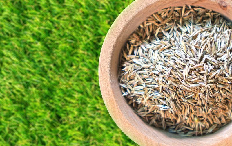 Commercial Lawn Seeding in Ventura County, CA
