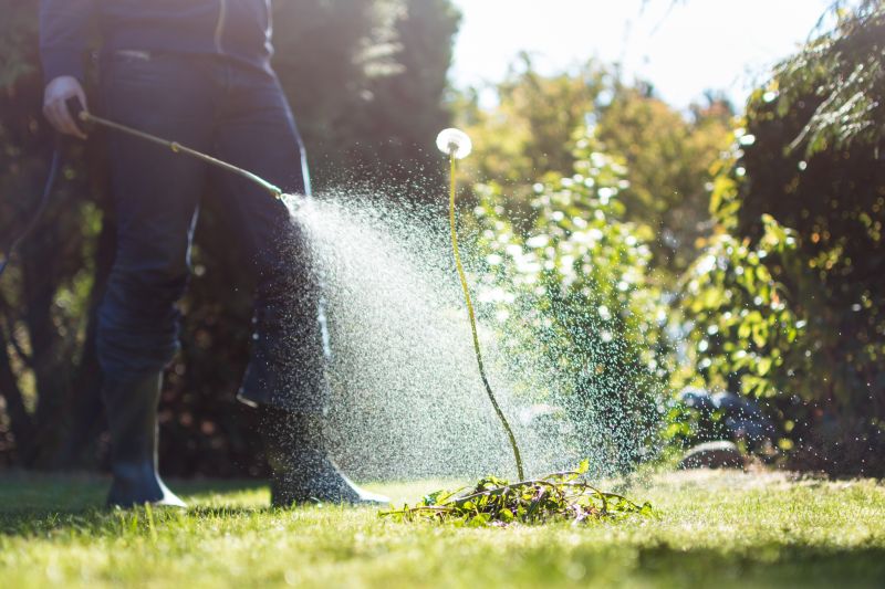 Crabgrass Removal in Aiken, SC