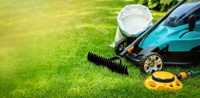 Seasonal Lawn Maintenance