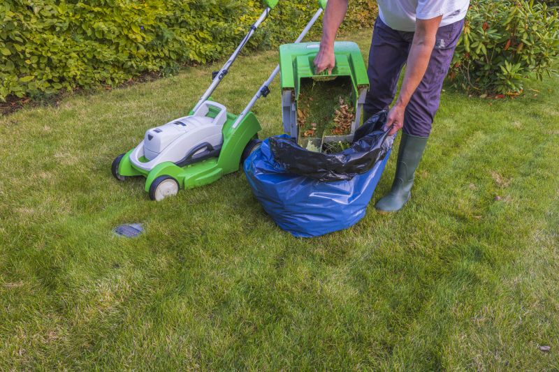 Fall Lawn Cleanup Service in Ventura County, CA