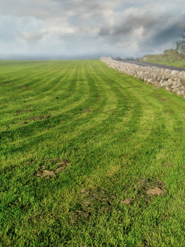 Field Mowing in Waldorf, MD