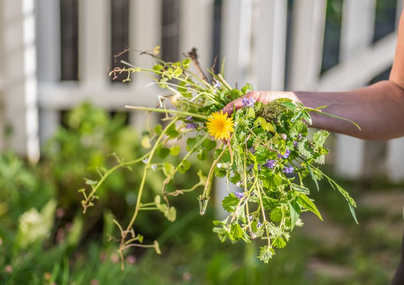 Garden Deweeding in Aiken, SC