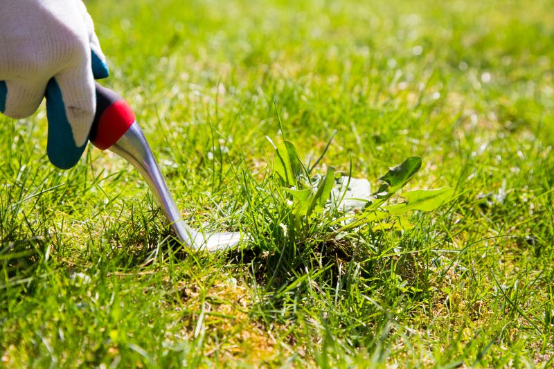 Garden Deweeding in Honolulu, HI