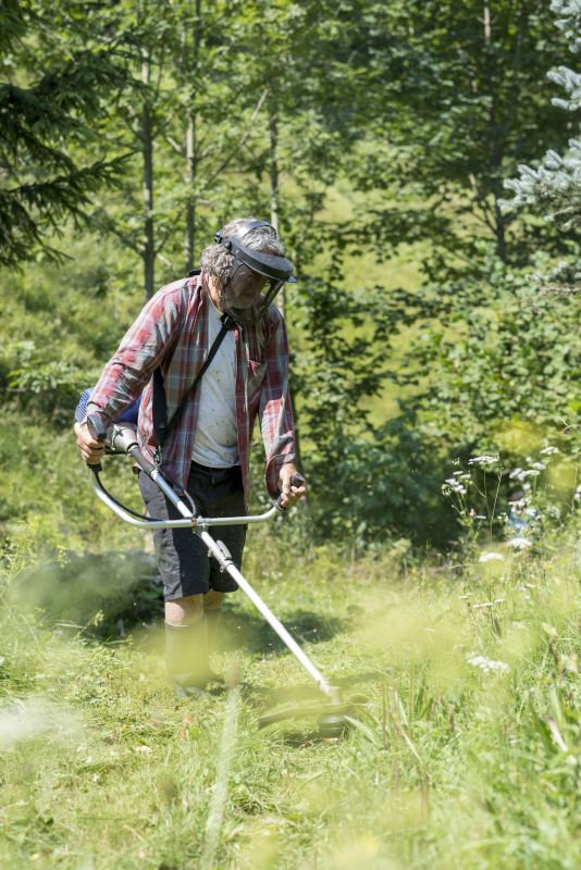 Grass Cutting Service in Bowie, MD