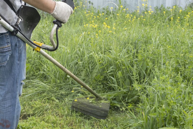 Grass Mowing in Bowie, MD