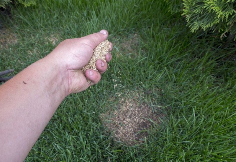 Grass Seeding Service in Honolulu, HI