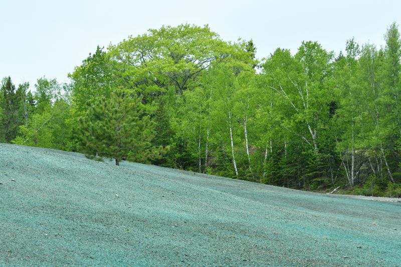 Hill Hydroseeding in Honolulu, HI