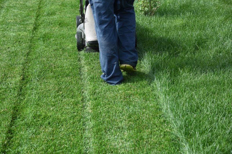 Lawn Cutting Service in Bowie, MD