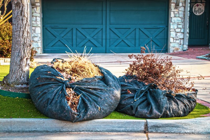Lawn Debris Cleanup in Honolulu, HI
