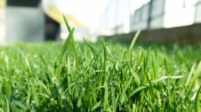 Lawn Fertilizing Service in Ventura County, CA