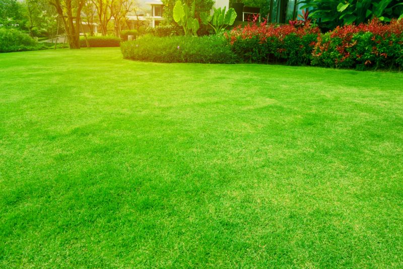 Lawn Management in Bowie, MD