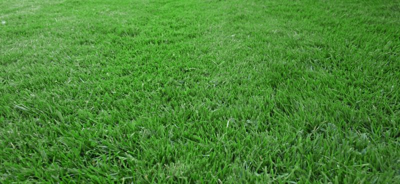 Lawn Management in Bowie, MD