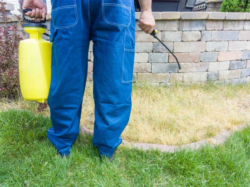 Lawn Moss Control in Honolulu, HI