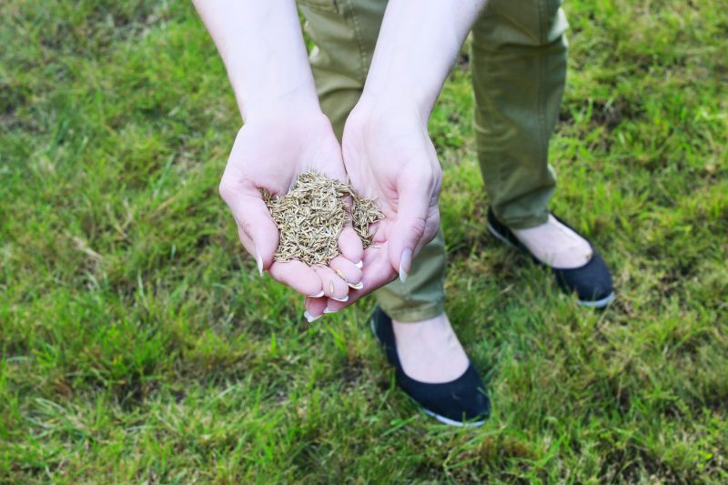 Lawn Reseeding Service in Honolulu, HI