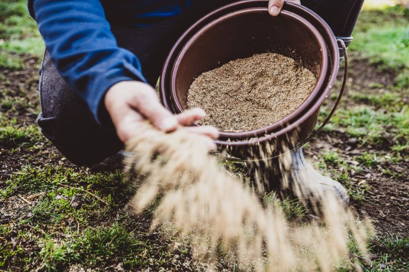 Lawn Seeding in Ventura County, CA