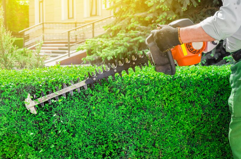 Lawn Trimming in Bowie, MD