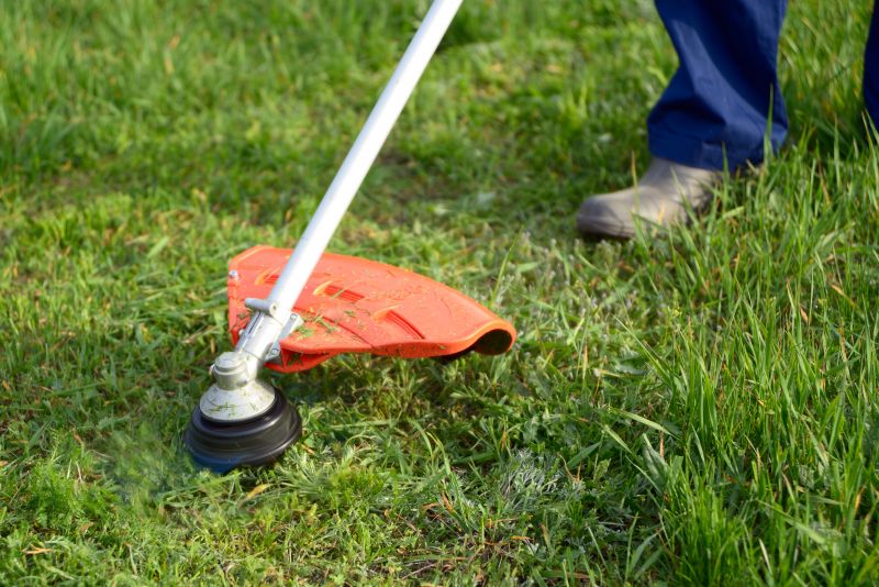 Lawn Trimming in Bowie, MD