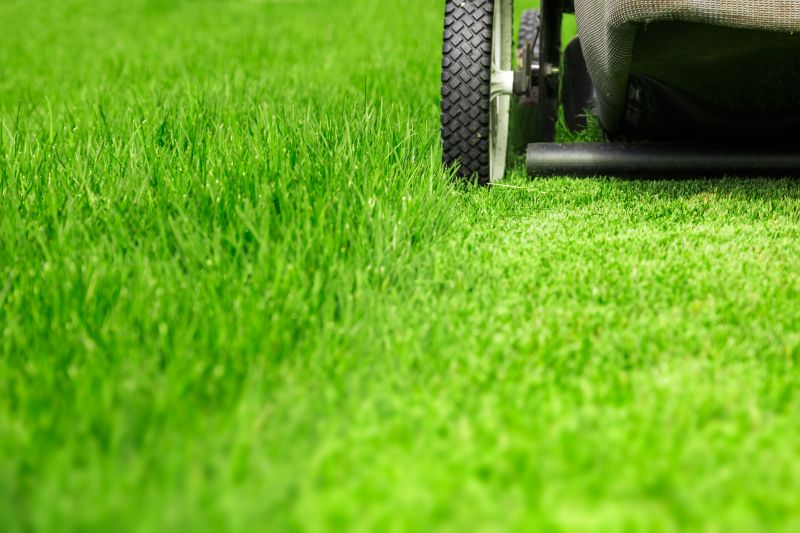 Lawn Trimming in Bowie, MD