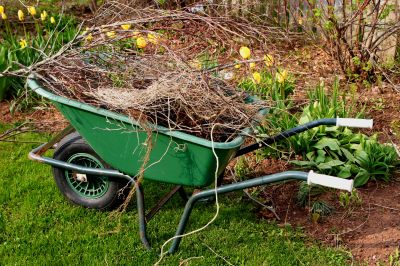 Lawn Waste Removal in Honolulu, HI