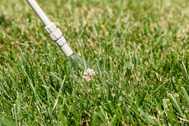 Lawn Weed Control in Honolulu, HI