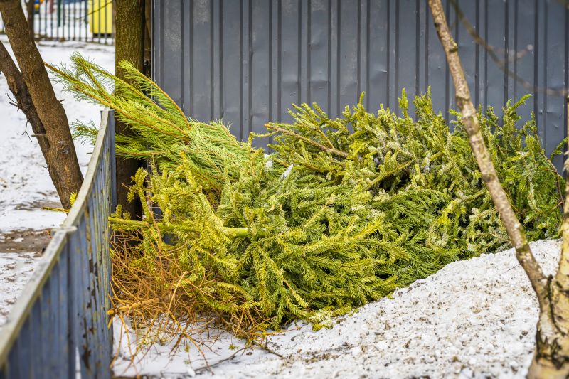 Leaf Removal in Ventura County, CA