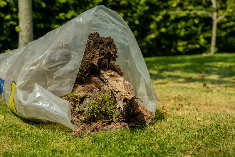 Leaf Removal in Honolulu, HI