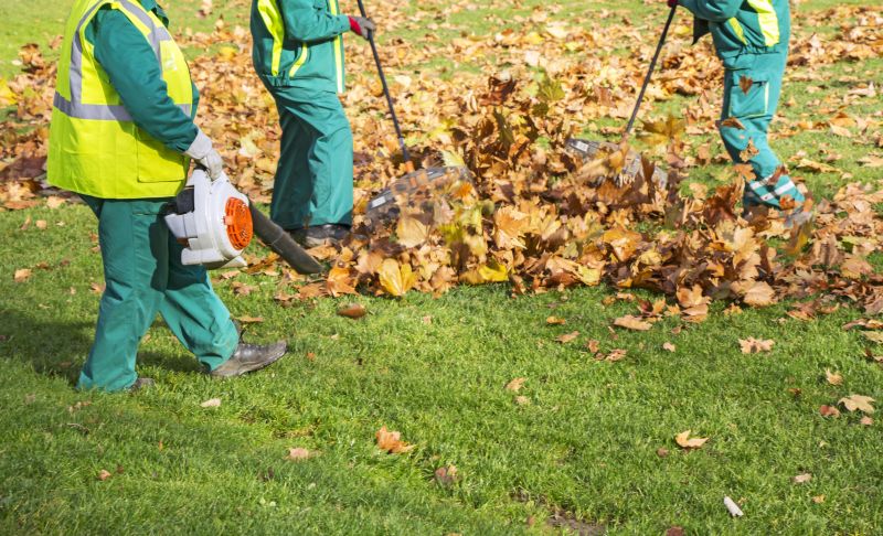 Leaves Vacuuming in Honolulu, HI