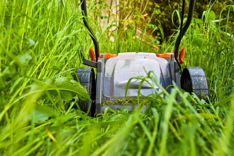 Lot Mowing in Bowie, MD