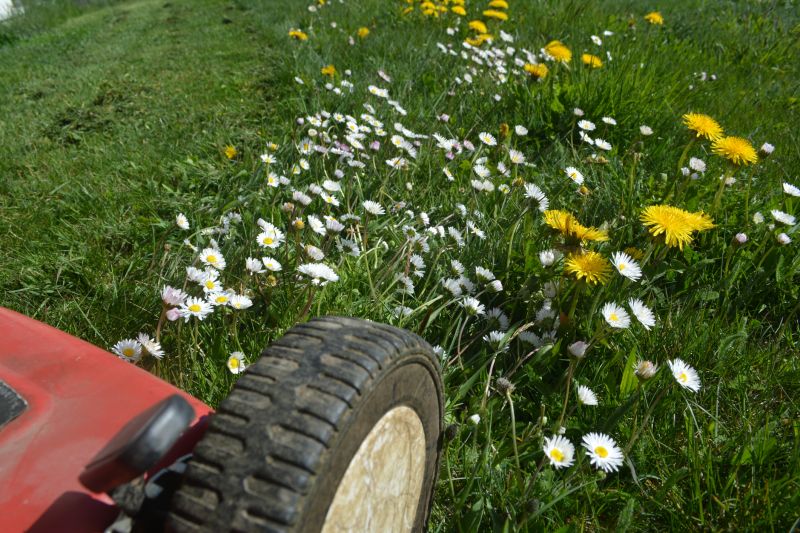 Meadow Mowing in Waldorf, MD