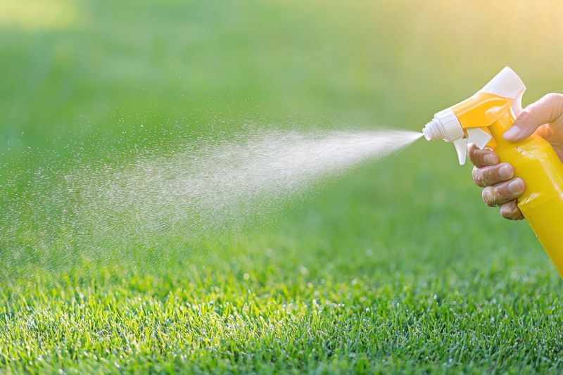 Pampas Grass Control in Rockwall, TX