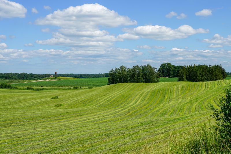 Pasture Mowing in Waldorf, MD