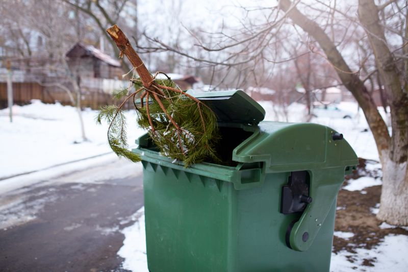 Pine Needles Removal in Honolulu, HI