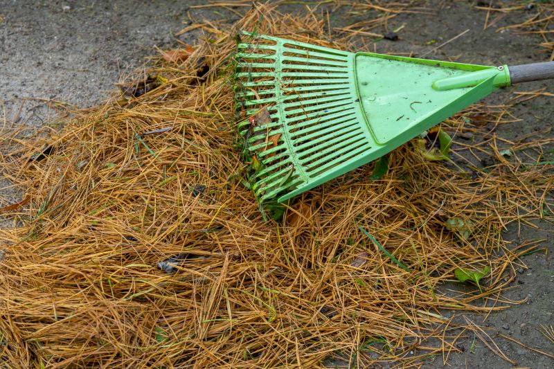 Pine Straw Raking in Honolulu, HI